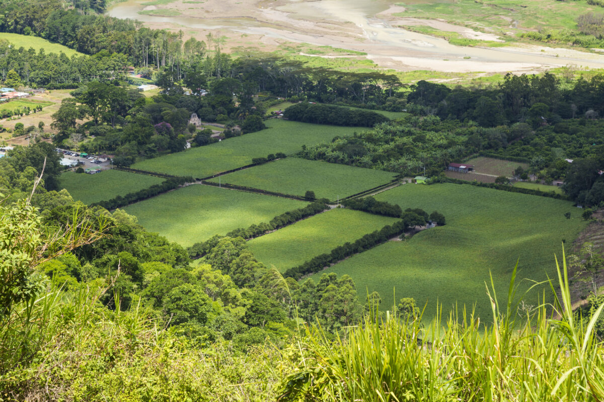 Terrenos verdes y parcelas agrícolas en el Baix Empordà, oportunidades de compra suelo urbanizable